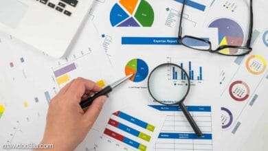 دراسة السوق لمشروع